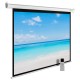 Экран Cactus CS-PSME-300X225-WT