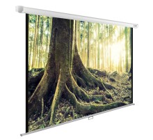 Экран Cactus CS-PSWE-220X220-WT