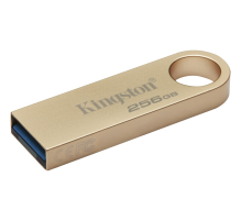 USB Flash накопитель 256Gb Kingston DataTraveler SE9 G3 DTSE9G3/256GB