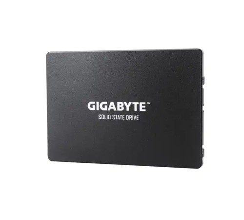 SSD Gigabyte GP-GSTFS31480GNTD