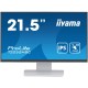 Монитор Iiyama 21.5 ProLite T2252MSC-W2