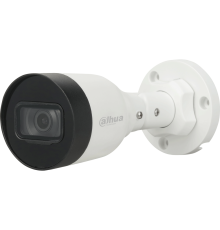 IP камера Dahua DH-IPC-HFW1230S1P-0360B-S6