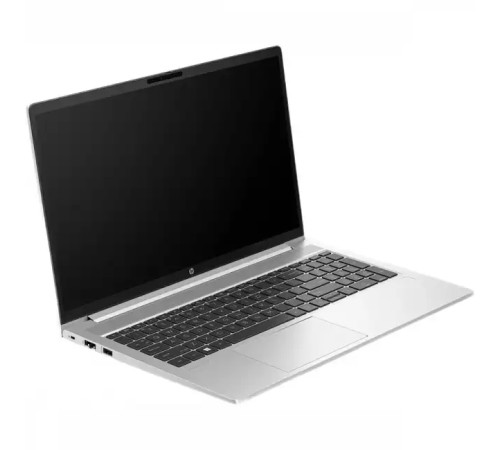 Ноутбук HP ProBook 450 G10 817S9EA