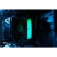 Оперативная память 32Gb DDR4 3600MHz Kingston Fury Renegade RGB KF436C16RB2AK4/32