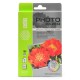 Фотобумага Cactus CS-MA619025