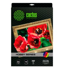 Холст Cactus CS-CA326010