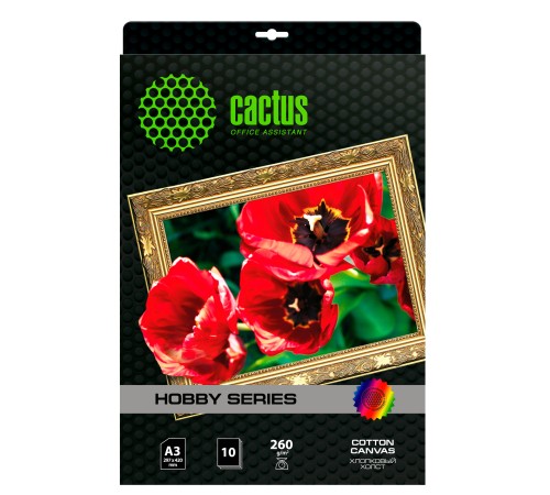 Холст Cactus CS-CA326010
