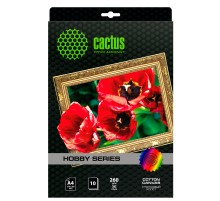 Холст Cactus CS-CA426010