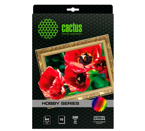 Холст Cactus CS-CA426010