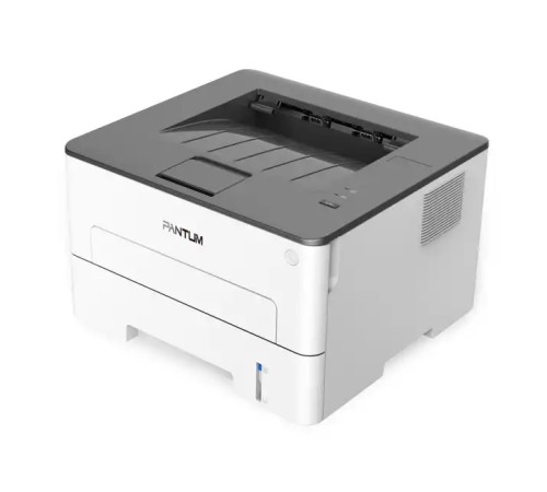 Принтер Pantum P3010D