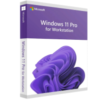 ПО Microsoft Windows 11 Pro for Workstations 64-bit Russian 1pk DSP OEI DVD OEM (HZV-00120) (id 20302)