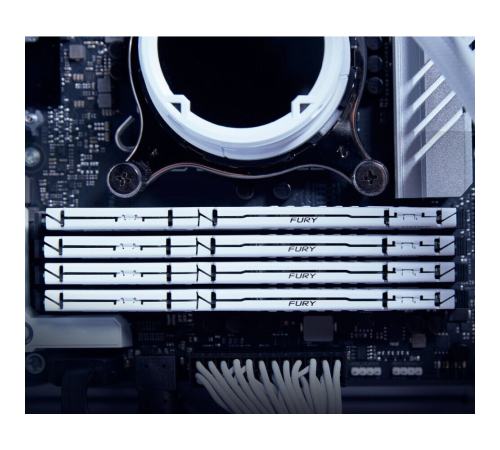 Оперативная память 64Gb DDR5 6000MHz Kingston Fury Beast White KF560C40BWK4-64