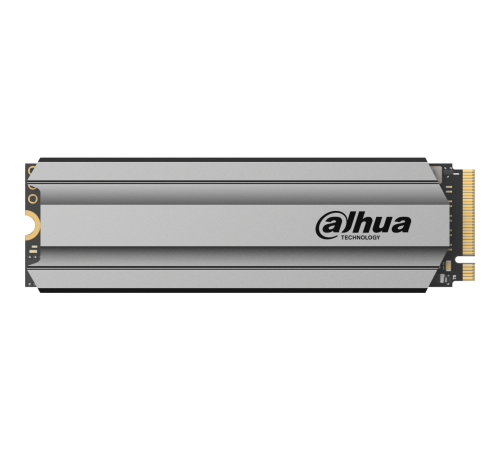 Накопитель SSD 256Gb Dahua C900 Plus DHI-SSD-C900VN256G