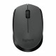 Мышь Logitech M170 910-004658