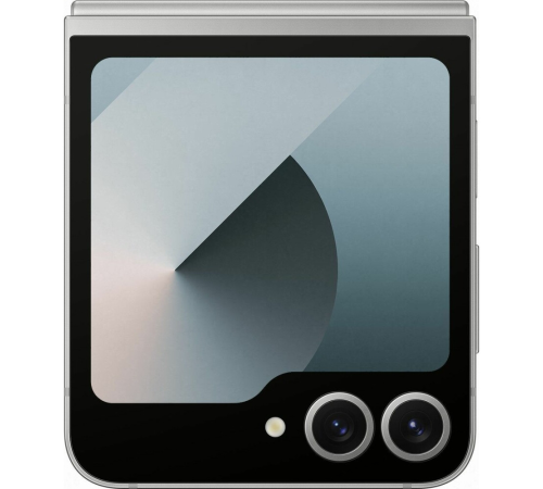 Смартфон Samsung Galaxy Z Flip6 12/256Gb Grey SM-F741BZSGSKZ