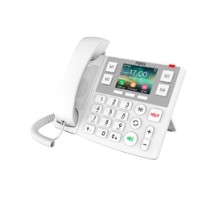 IP Phone X305