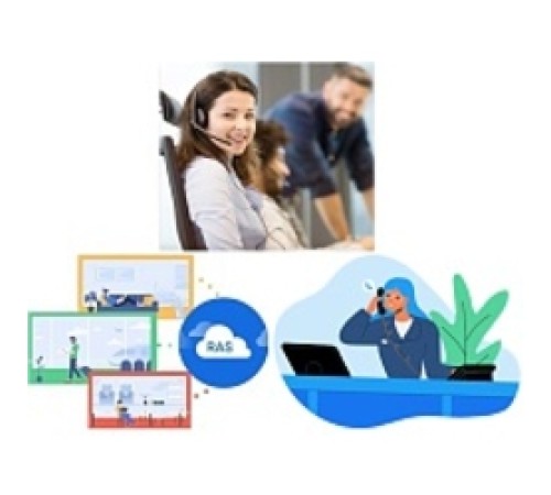 P520 Standard License,сервис удалённого доступа (годовая)