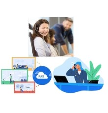 P560 Standard License,сервис удалённого доступа (годовая)