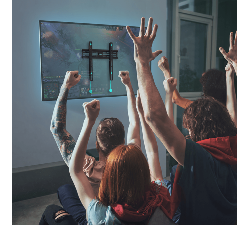 Кронштейн для телевизора Onkron FM2 черный 32"-65" макс.50кг настенный фиксированный Кронштейн для телевизора Onkron FM2 черный 32"-65" макс.50кг настенный фиксированный