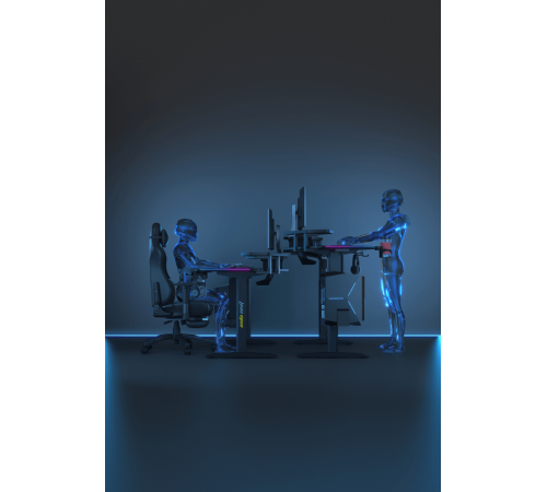 Стол игровой Andaseat Shadow warrior (модель AD-D-DD1-1600L)