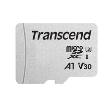 4GB microSD w/o adapter Class10