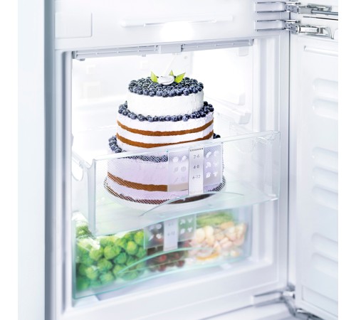 Холодильники Liebherr Liebherr CUele 2331-26 001