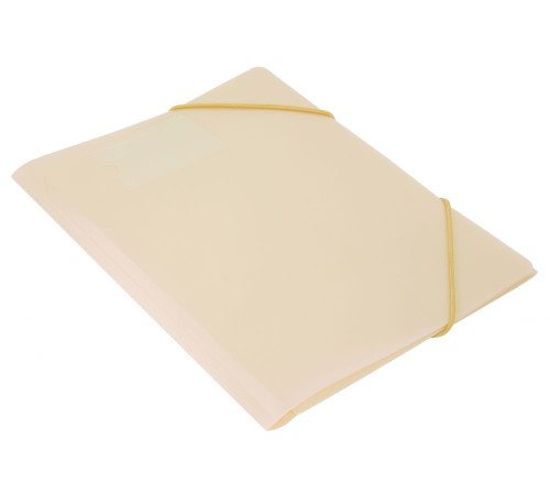 Папка на резинке Бюрократ Gems GEMPR05CREAM A4 пластик кор.30мм 0.5мм кремовый жемчуг карман для визитки Папка на резинке Бюрократ Gems GEMPR05CREAM A4 пластик кор.30мм 0.5мм кремовый жемчуг карман для визитки