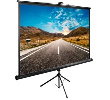Экран Cactus 160x160см TriExpert CS-PSTE-160x160-BK 1:1 напольный рулонный черный