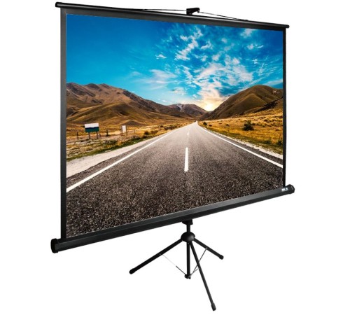Экран Cactus 160x160см TriExpert CS-PSTE-160x160-BK 1:1 напольный рулонный черный Экран Cactus 160x160см TriExpert CS-PSTE-160x160-BK 1:1 напольный рулонный черный