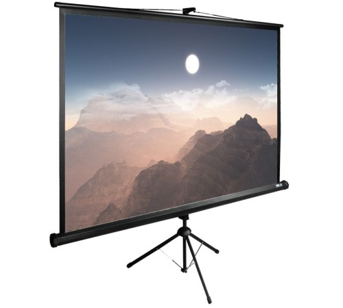 Экран Cactus 180x180см TriExpert CS-PSTE-180x180-BK 1:1 напольный рулонный черный