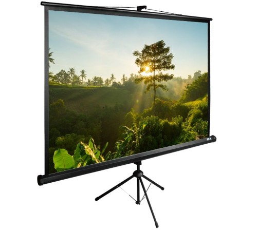 Экран Cactus 200x200см TriExpert CS-PSTE-200x200-BK 1:1 напольный рулонный черный