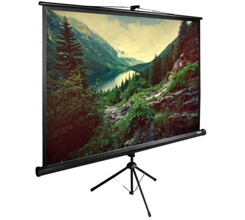 Экран Cactus 220x220см TriExpert CS-PSTE-220x220-BK 1:1 напольный рулонный черный