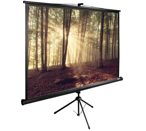 Экран Cactus 135x180см TriExpert CS-PSTE-180x135-BK 4:3 напольный рулонный черный