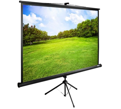 Экран Cactus 150x200см TriExpert CS-PSTE-200x150-BK 4:3 напольный рулонный черный Экран Cactus 150x200см TriExpert CS-PSTE-200x150-BK 4:3 напольный рулонный черный