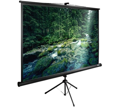 Экран Cactus 165x220см TriExpert CS-PSTE-220x165-BK 4:3 напольный рулонный черный