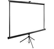 Экран Cactus 200x200см TriExpert CS-PSTE-200x200-BK 1:1 напольный рулонный черный