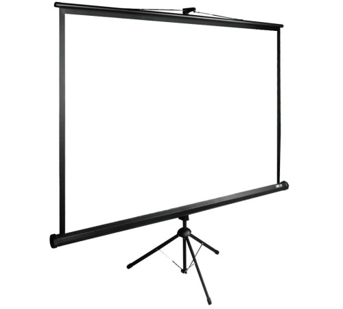 Экран Cactus 160x160см TriExpert CS-PSTE-160x160-BK 1:1 напольный рулонный черный Экран Cactus 160x160см TriExpert CS-PSTE-160x160-BK 1:1 напольный рулонный черный