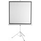 Экран 180x240см Digis Kontur-D DSKD-4304 4:3 напольный рулонный