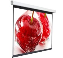 Экран 220x300см Digis Electra-F DSEF-4305 4:3 настенно-потолочный рулонный (моторизованный привод)