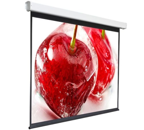 Экран 220x300см Digis Electra-F DSEF-4305 4:3 настенно-потолочный рулонный (моторизованный привод) Экран 220x300см Digis Electra-F DSEF-4305 4:3 настенно-потолочный рулонный (моторизованный привод)