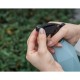 Опрыскиватель садовый Deli DL581005A  600мл, регулируемый разбрызгиватель