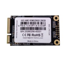 Твердотельный накопитель SSD AMD Radeon 256Gb mSATA SATA [R5MS256G5]