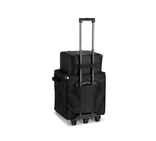 Комплект аксессуаров LD Systems DAVE 10 G4X BAG SET Комплект аксессуаров LD Systems DAVE 10 G4X BAG SET