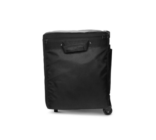 Комплект аксессуаров LD Systems DAVE 10 G4X BAG SET Комплект аксессуаров LD Systems DAVE 10 G4X BAG SET