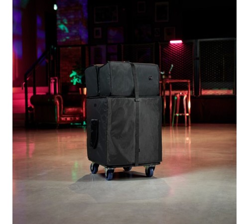 Комплект аксессуаров LD Systems DAVE 18 G4X BAG SET Комплект аксессуаров LD Systems DAVE 18 G4X BAG SET