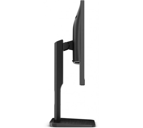 Монитор AOC 24" Professional X24P1(00/01) черный IPS LED 16:10 DVI HDMI M/M матовая HAS Pivot 1000:1 300cd 178гр/178гр 1920x1200 D-Sub DisplayPort FHD USB 5.5кг