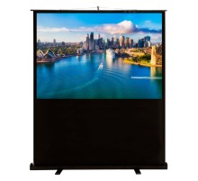 Экран Cactus 120x160см FloorCompactExpert CS-PSFLCE-160X120 4:3 напольный рулонный