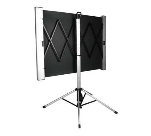 Экран Cactus 102x180см TriAlExpert CS-PSTALE-180X102 16:9 напольный рулонный