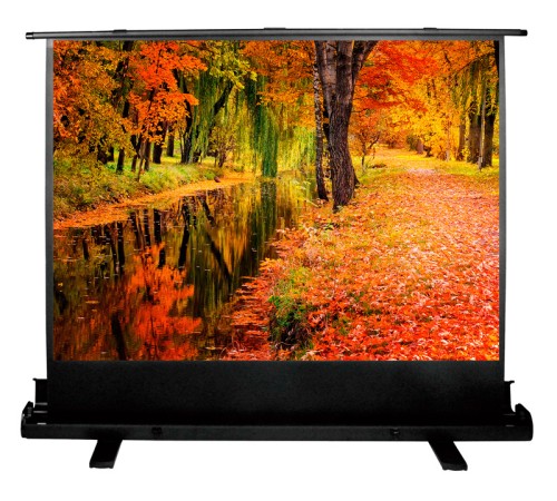 Экран Cactus 150x200см FloorExpert CS-PSFLE-200X150 4:3 напольный рулонный