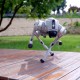 Бионический четырехопорный робот бренда Unitree модели Go2 версии AIR
